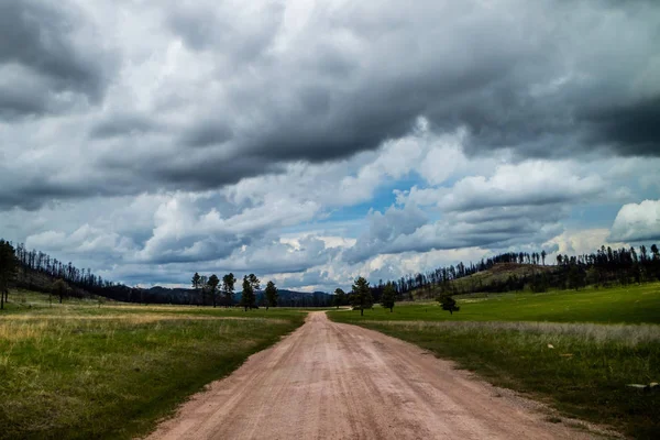 Ein langer Weg entlang der Straße des Custer State Park, South Dakota — Stockfoto