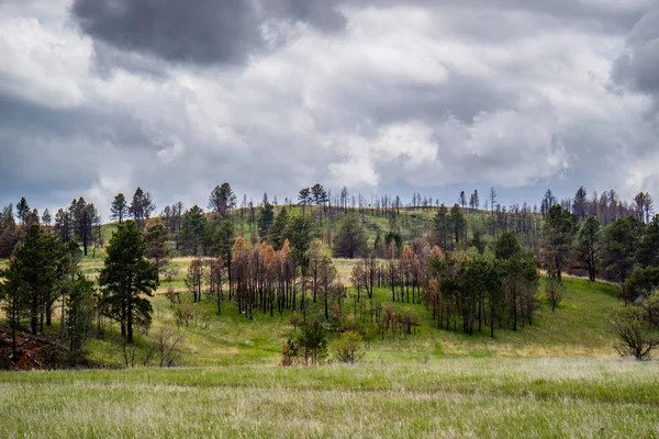 An overlooking landscape view of Custer State Park, South Dakota — Stock Photo, Image