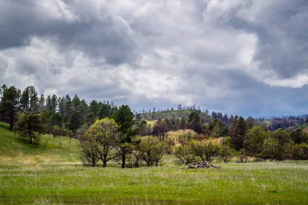 An overlooking landscape view of Custer State Park, South Dakota — ストック写真