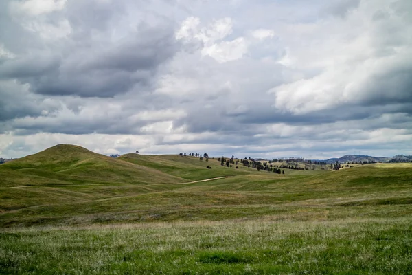 An overlooking landscape view of Custer State Park, South Dakota — ストック写真