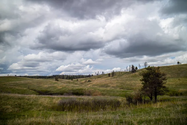 Ein Blick auf die Landschaft Blick auf Custer State Park, South Dakota — Stockfoto