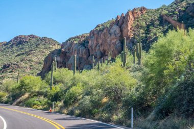 Apaçilerin güzel çöl sınavına doğru yol alıyoruz.