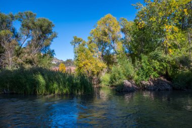 Bir akarsudan doğal su kaynağıferahlatıcı akışı