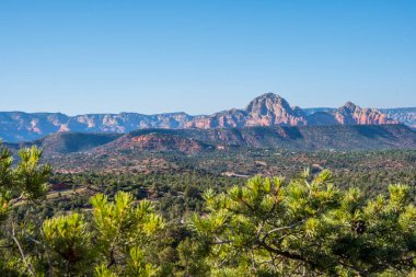 Korunaklı parkta dik bir kanyon duvarları oluşmuş.