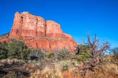 Korunaklı parkta dik bir kanyon duvarları oluşmuş.