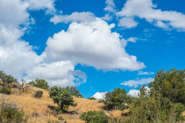 Epische Landschaft Bei Einem Spaziergang Über Das Grasland — Stockfoto