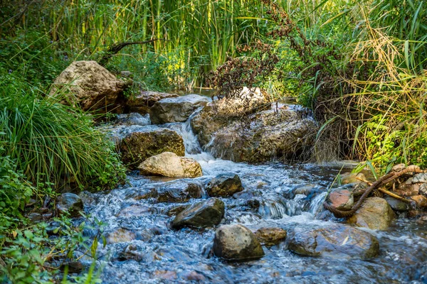 来自溪流的天然水资源的清爽流动 — 图库照片