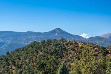 Tanrıların Bahçesi 'ndeki ormanın muhteşem manzarası.