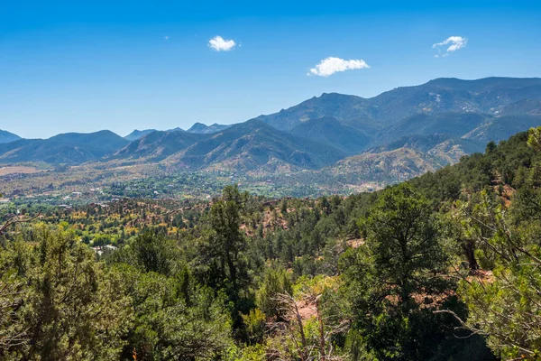 Una Hermosa Vista Del Bosque Parque Reserva Del Jardín Los —  Fotos de Stock