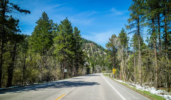 Road Trip Traversée Long Belle Forêt Place — Photo