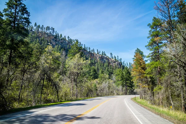 Road Trip Doorkruisen Langs Het Prachtige Bos Van Plaats — Stockfoto