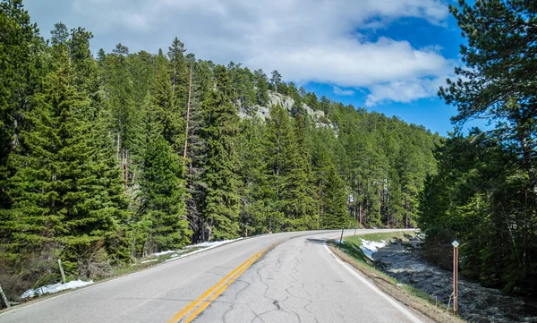 Väg Resa Och Korsa Längs Den Vackra Skogen Platsen — Stockfoto