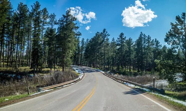 Road Trip Doorkruisen Langs Het Prachtige Bos Van Plaats — Stockfoto