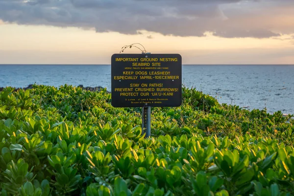 Maui Agosto 2019 Aviso Para Área Anidación Aves Marinas — Foto de Stock