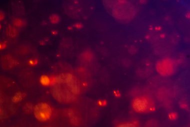 Noel ağacı, yeşil sarı altın renginde ışık saçar, tatil