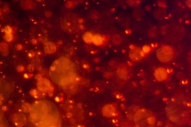 Noel ağacı, yeşil sarı altın renginde ışık saçar, tatil