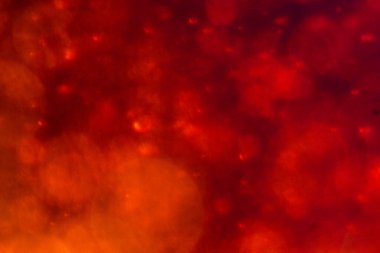 Noel ağacı, yeşil sarı altın renginde ışık saçar, tatil