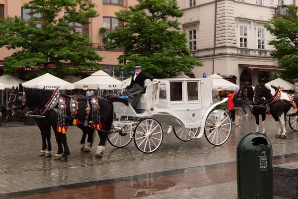 Krakow, Küçük Polonya, Polonya 30 / 05 / 2019 K Şehri Merkezi