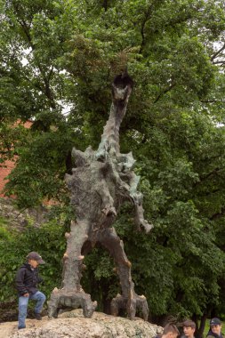 Krakow, Küçük Polonya, Polonya 30 / 05 / 2019 K Şehri Merkezi