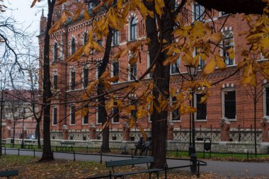 Dikdörtgenlerden bir duvar. Bina. Krakow.