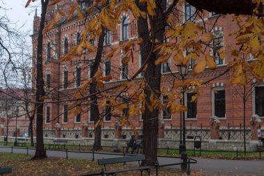 Dikdörtgenlerden bir duvar. Bina. Krakow.