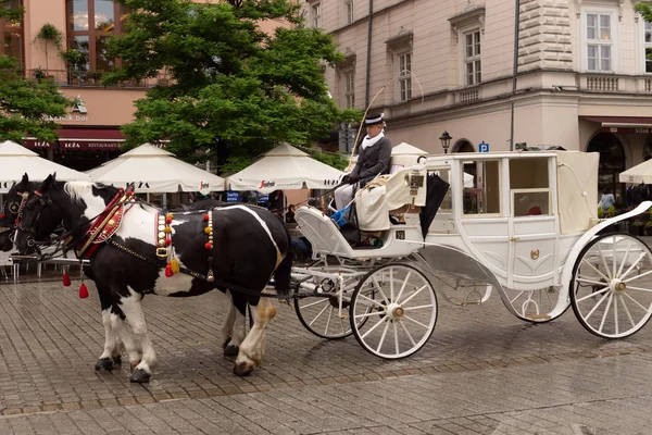 Krakow, Küçük Polonya, Polonya 30 / 05 / 2019 K Şehri Merkezi