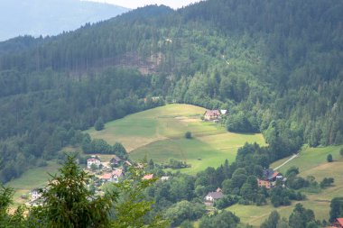 ilkbaharda dağ manzarası.