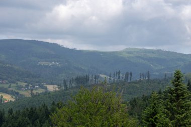 ilkbaharda dağ manzarası.
