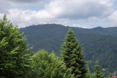 ilkbaharda dağ manzarası.