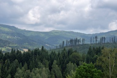 ilkbaharda dağ manzarası.