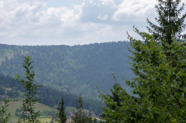 ilkbaharda dağ manzarası.