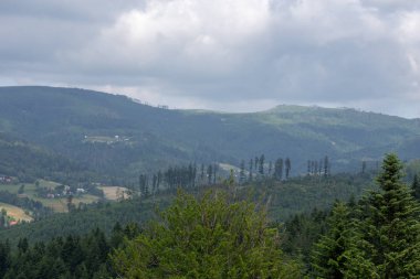 ilkbaharda dağ manzarası.