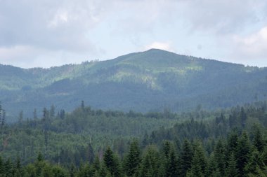 ilkbaharda dağ manzarası.