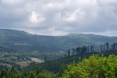 ilkbaharda dağ manzarası.