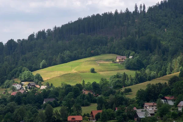 Berglandschap in het voorjaar van. — Stockfoto