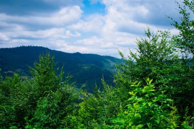 Milowka. Silezya Beskid Dağları manzarası