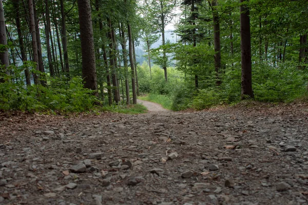 Milowka vagyok. Hegység táj a sziléziai Beskids — Stock Fotó