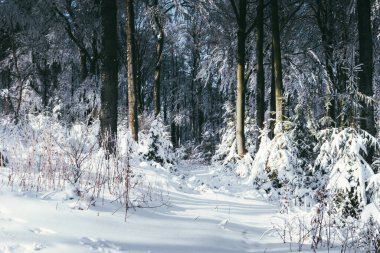 Czantoria 'nın zirvesinden kış manzarası