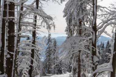Czantoria 'nın zirvesinden kış manzarası