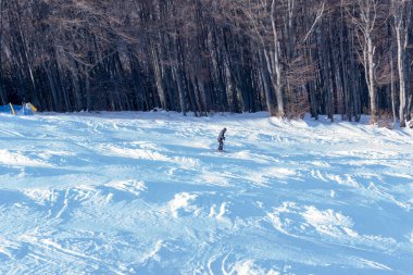 Ustro, Polonya 08 Şubat 2020 Kışları Czantoria 'da.