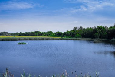 Bytom Kurbağa Çukuru. Bytom Park 'ın manzarası. Harika.