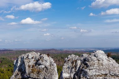 Gora Zborow (Berkowa Gra) - Iskie Voyvoda 'nın Podlesice köyünde kayalık bir tepe. Peyzaj