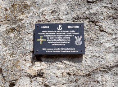 Gora Zborow (Berkowa Gra) - Iskie Voyvoda 'nın Podlesice köyünde kayalık bir tepe. Peyzaj