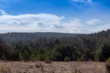 Gora Zborow (Berkowa Gra) - Iskie Voyvoda 'nın Podlesice köyünde kayalık bir tepe. Peyzaj