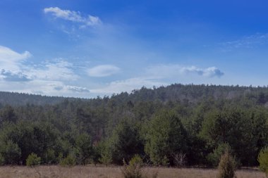 Gora Zborow (Berkowa Gra) - Iskie Voyvoda 'nın Podlesice köyünde kayalık bir tepe. Peyzaj
