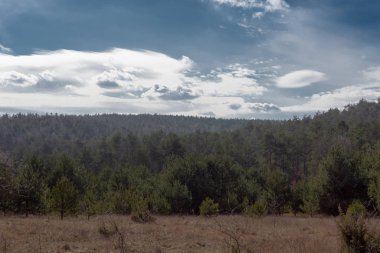 Gora Zborow (Berkowa Gra) - Iskie Voyvoda 'nın Podlesice köyünde kayalık bir tepe. Peyzaj
