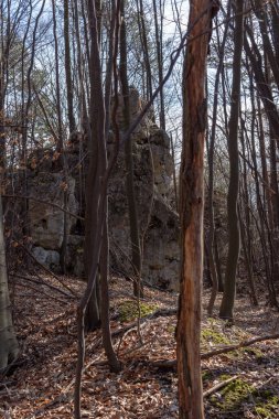 Gora Zborow (Berkowa Gra) - Iskie Voyvoda 'nın Podlesice köyünde kayalık bir tepe. Peyzaj