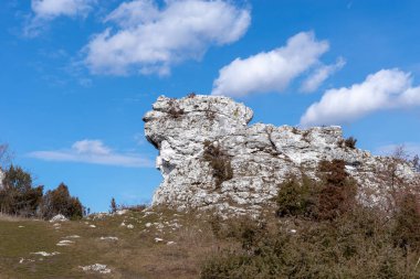 Gora Zborow (Berkowa Gra) - Iskie Voyvoda 'nın Podlesice köyünde kayalık bir tepe. Peyzaj