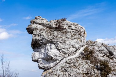 Gora Zborow (Berkowa Gra) - Iskie Voyvoda 'nın Podlesice köyünde kayalık bir tepe. Peyzaj