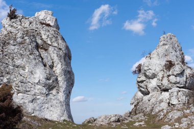 Gora Zborow (Berkowa Gra) - Iskie Voyvoda 'nın Podlesice köyünde kayalık bir tepe. Peyzaj